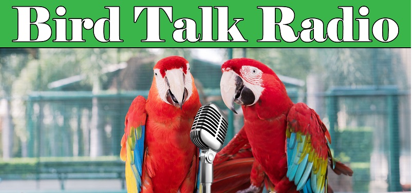 Bird Talk Radio, Kansas City